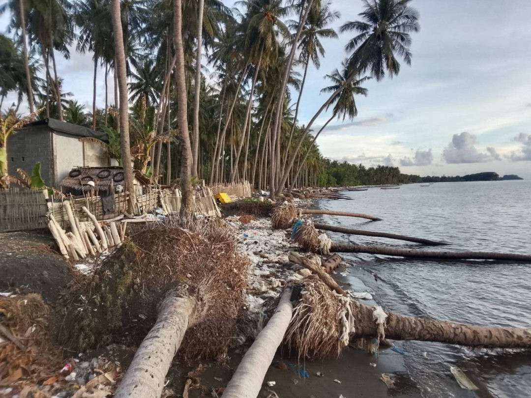 Abrasi Mengganas di Dusun Baringan, Rumah Warga Terancam Tersapu Laut