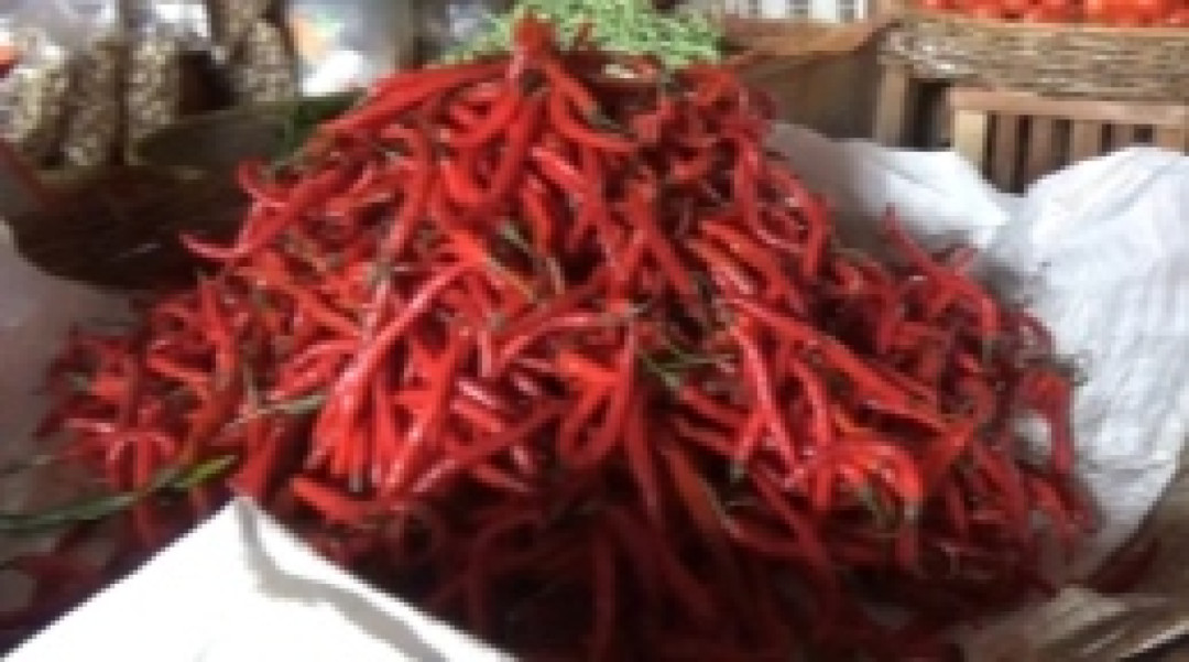 Harga Cabai Merah di Solok Selatan, NaiknyaHarga Cabai Merah di Solok Selatan, Naik
