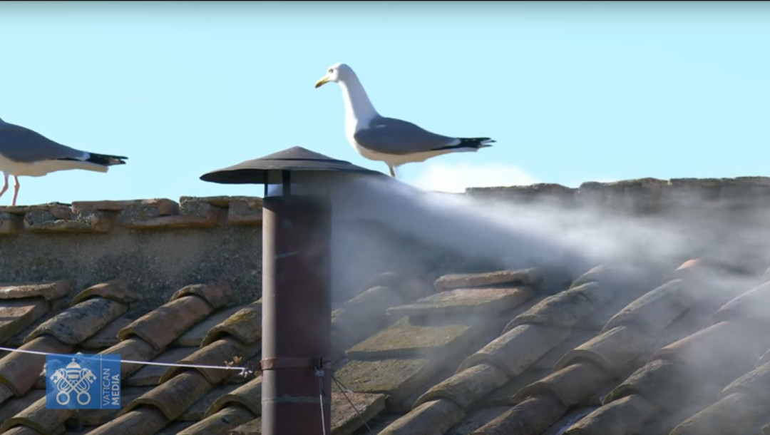 Asap Putih dari Vatikan, Dunia Sambut Paus ke-267