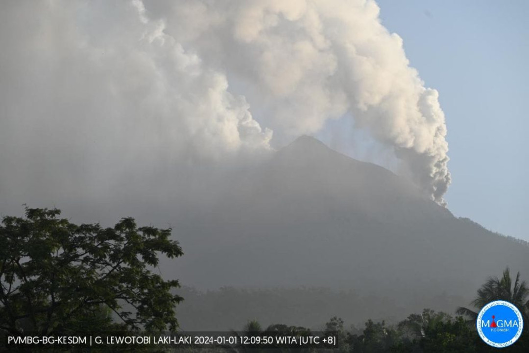 BPBD Kabupaten Flores Timur Bergerak Cepat Menangani Erupsi Gunung Api Lewotobi Laki-Laki
