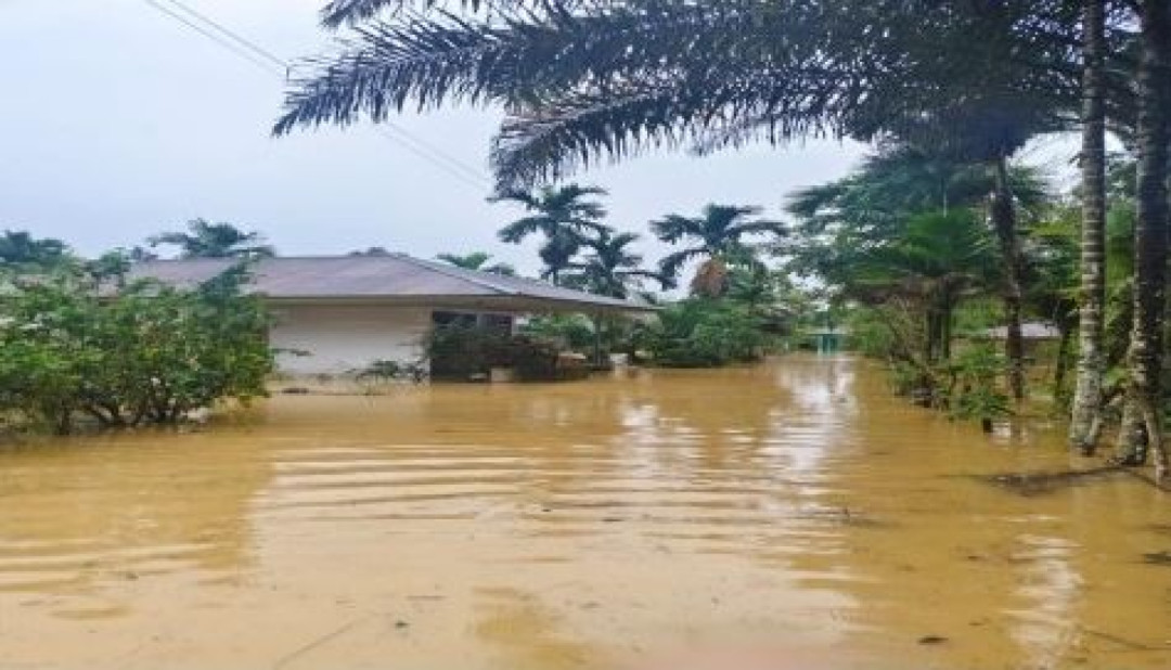 Banjir Melanda Beberapa Wilayah di Sumatera Barat dan Riau, BNPB Imbau Kesiapsiagaan