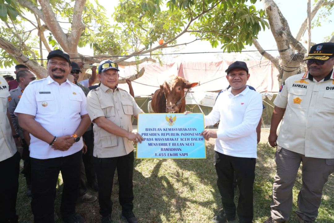 Jelang Ramadan, Presiden Prabowo Salurkan 1.455 Sapi untuk Korban Bencana di Aceh