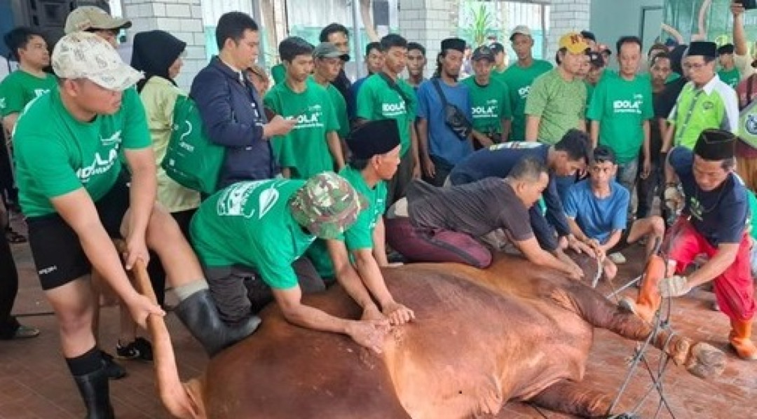 Masjid Istiqlal Sembelih 129 Hewan Kurban Hari Ini, 2.000 Anak Yatim Diundang Santap Daging Sapi Presiden