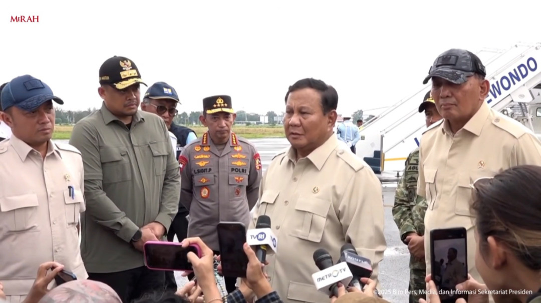 Presiden Prabowo Serukan Penertiban Pembalakan Liar