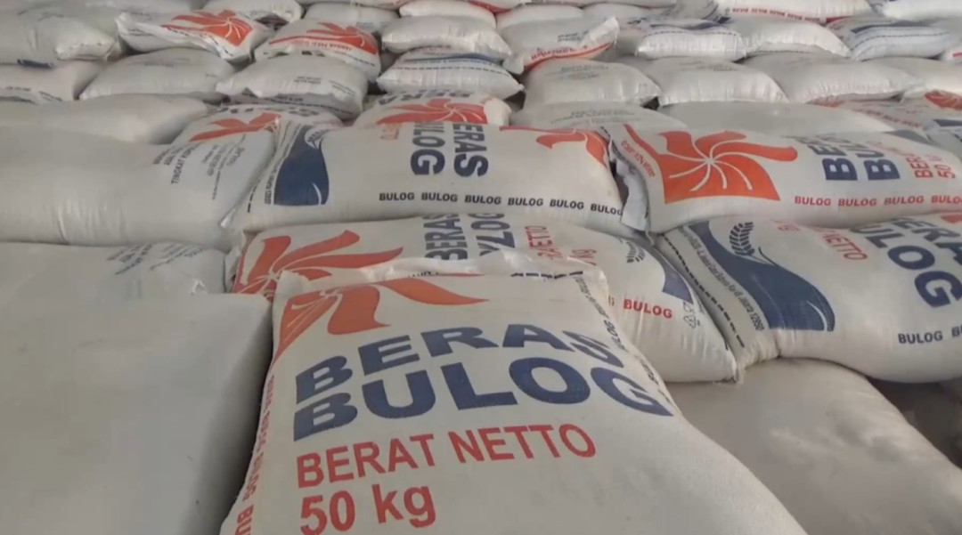 Bulog Serap Ribuan Ton Gabah, Rahasia di Balik Panen Raya Paser Terungkap