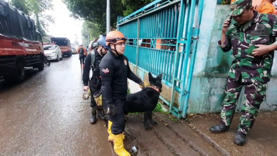 Hari Ketiga Pencarian Korban Longsor, Tim SAR Terjunkan K9