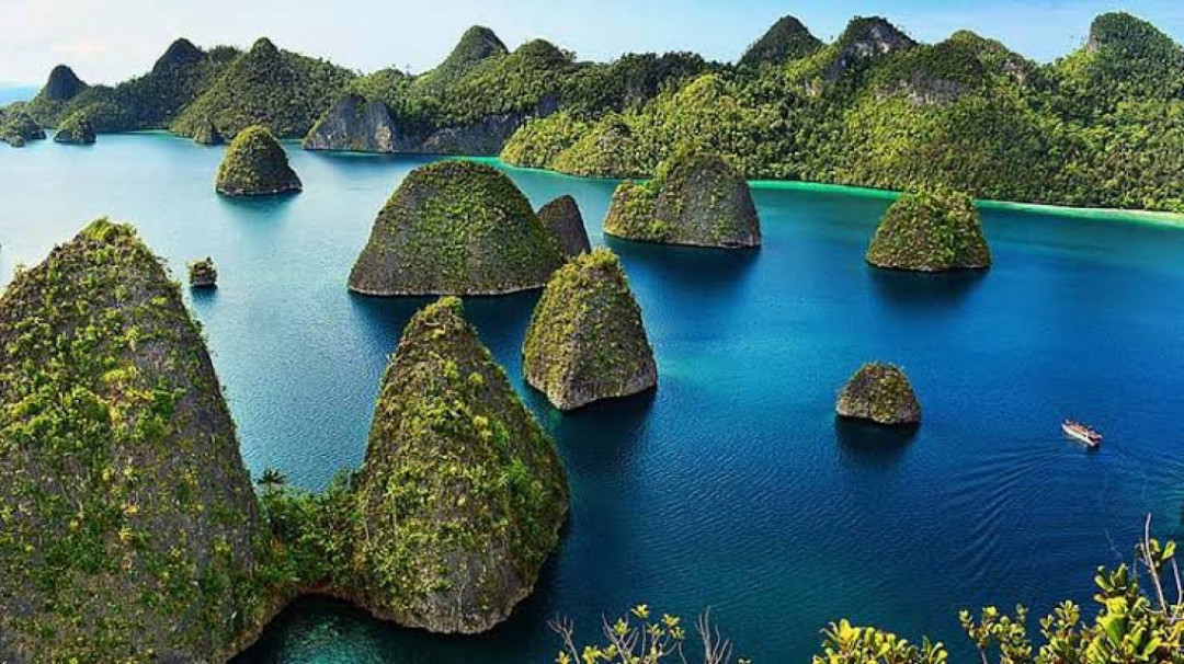 Kemenhut Siapkan Langkah Hukum atas Penambangan di Raja Ampat 