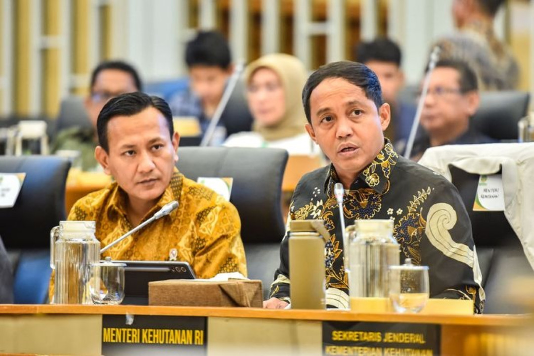 Pemerintah Siapkan Perbaikan Tata Kelola Kehutanan hingga Tingkat Provinsi