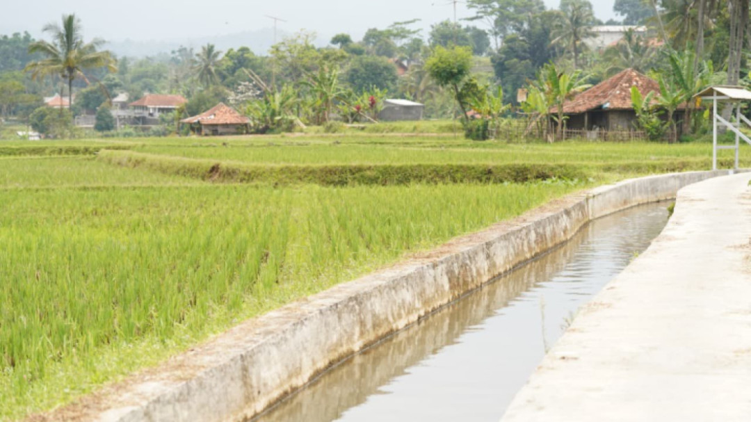 Mitigasi El Nino, Mentan Amran Pacu 5 Strategi Amankan Stok Pangan
