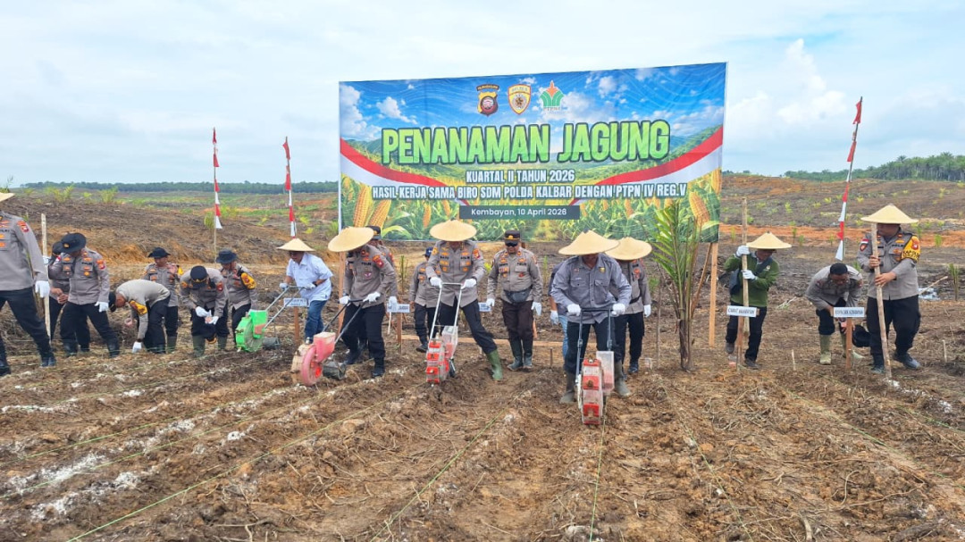 Polda Kalbar Gandeng PTPN Dukung Swasembada Pangan di Kembayan