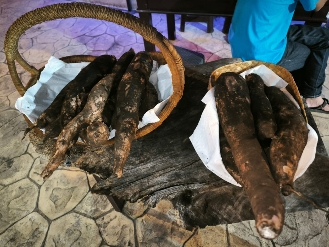 Pemuda Ende Gelar Festival Uwi Kaju untuk Dukung Petani Singkong