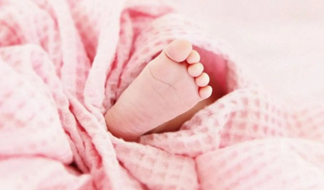 IDAI Angkat Suara Terkait Viral Evakuasi Bayi Hipotermia di Gunung Ungaran