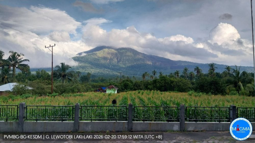 Tingkat Aktivitas Vulkanik Gunung Api Lewotobi Laki-Laki di Flores Timur Turun ke Level II