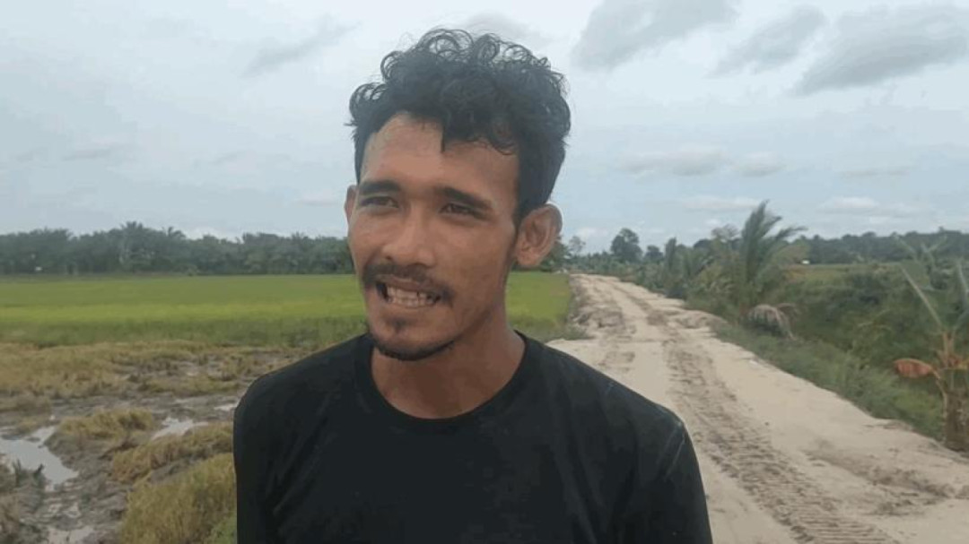 Panen Perdana IP 300 di Desa Rias Terkendala Hama