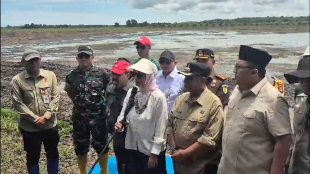 Gerakan Tanam Serempak di Tanah Laut, Perkuat Kedaulatan Pangan Nasional