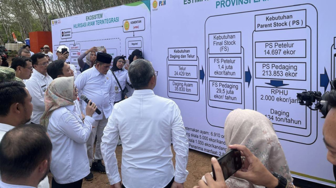 Hilirisasi Ayam Terintegrasi Perkuat Ketahanan Pangan Nasional