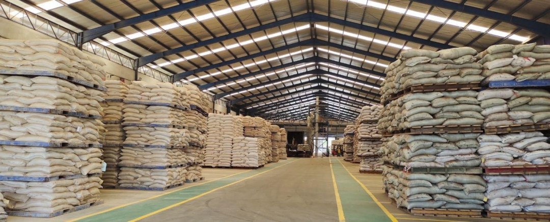 Harga Pakan Turun, Efisiensi Peternak Meningkat