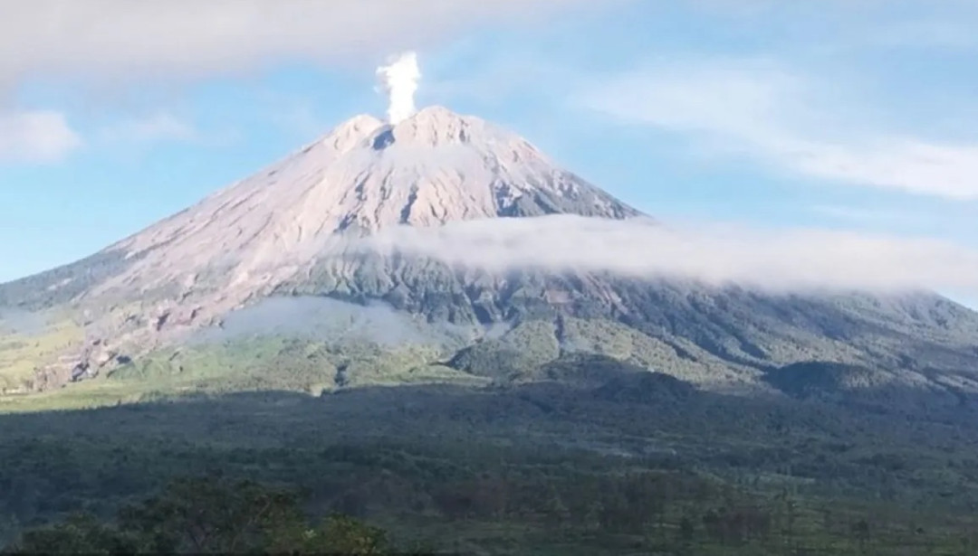 Gunung Semeru Erupsi, Kolom Abu 1,2 Kilometer