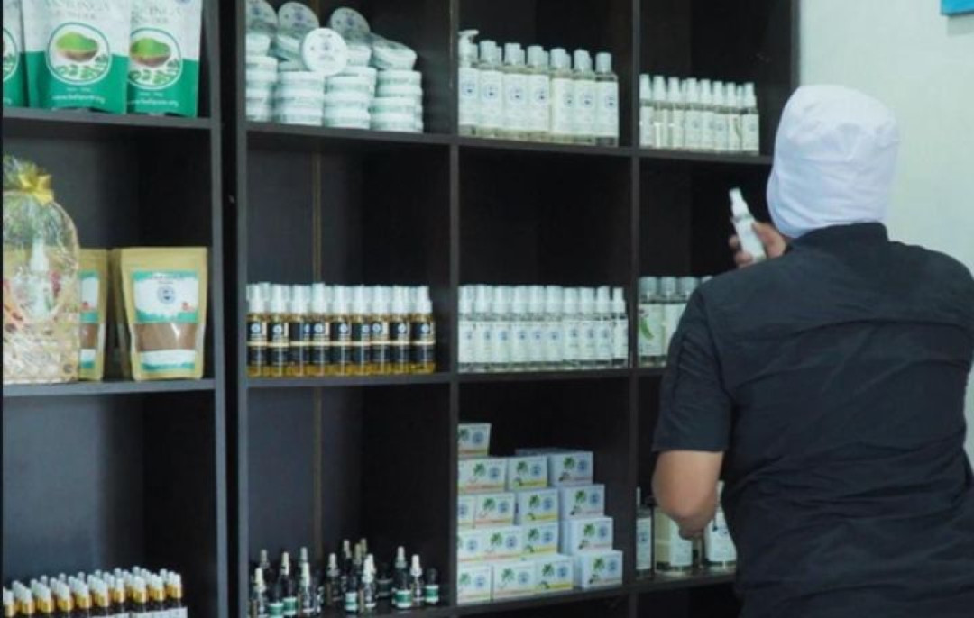 Kementan Bangkitkan Kelapa Nasional Lewat Peremajaan Kebun Rakyat