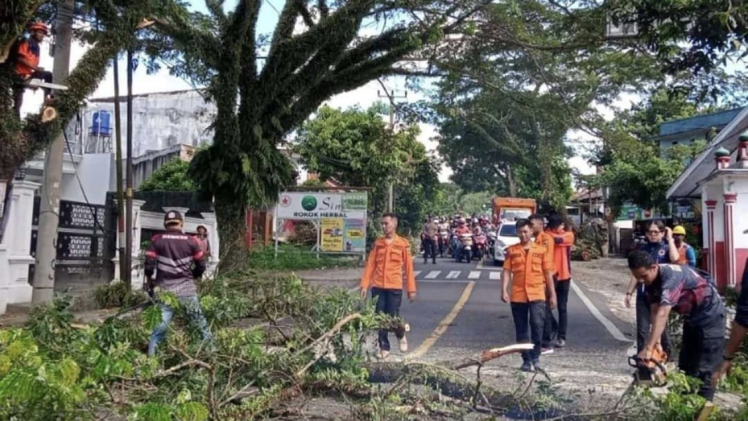 Cegah Pohon Tumbang, BPBD Pandeglang Tebang Pohon di Jalur AMD