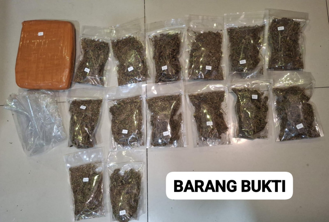 Polisi Gagalkan 6,2 Kilogram Ganja Beredar di Depok, Satu Tersangka Diamankan