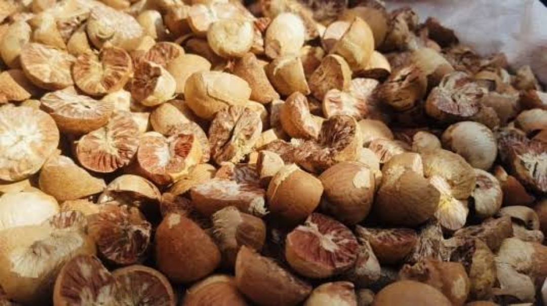 India Larang Impor Pinang, Harga Pinang Turun Signifikan