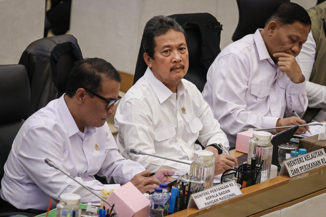 Stok Ikan Nasional Dijamin Aman Jelang Lebaran