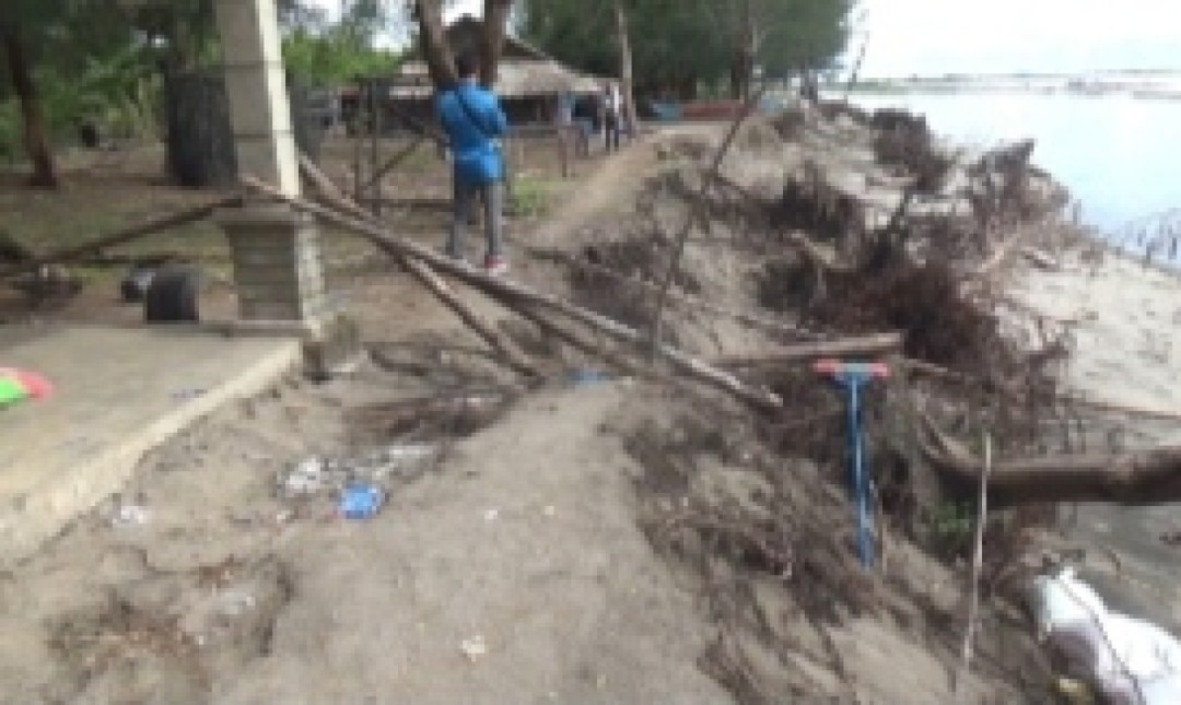 Abrasi di Pantai Sasak Pasaman Barat Semakin Parah