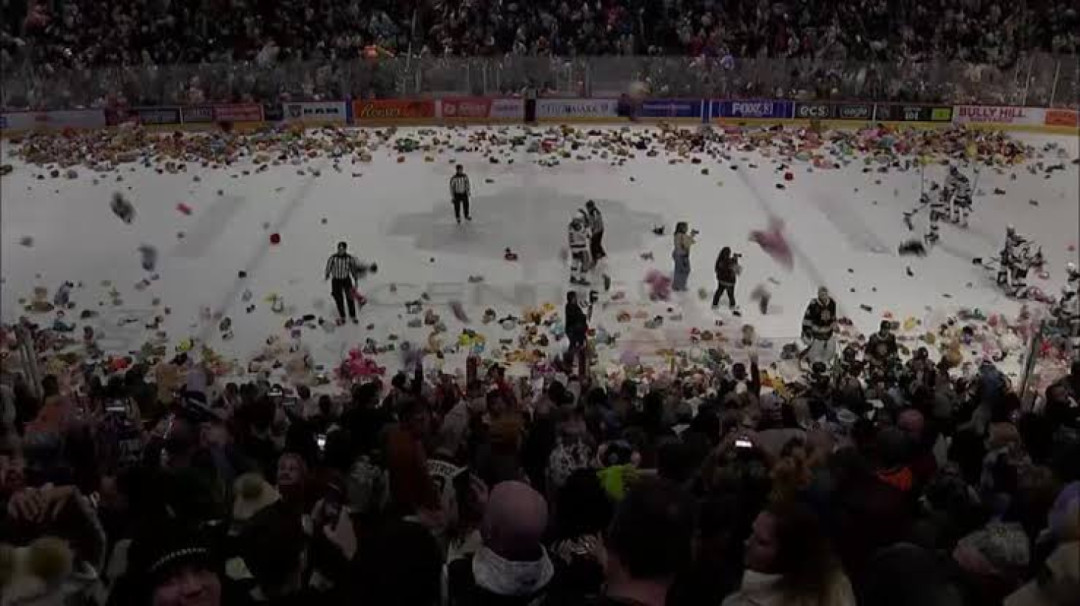 Lebih dari 100.000 Boneka Beruang Hujani Lapangan Es Setelah Gol Pertama dalam Pertandingan Liga Hoki Amerika