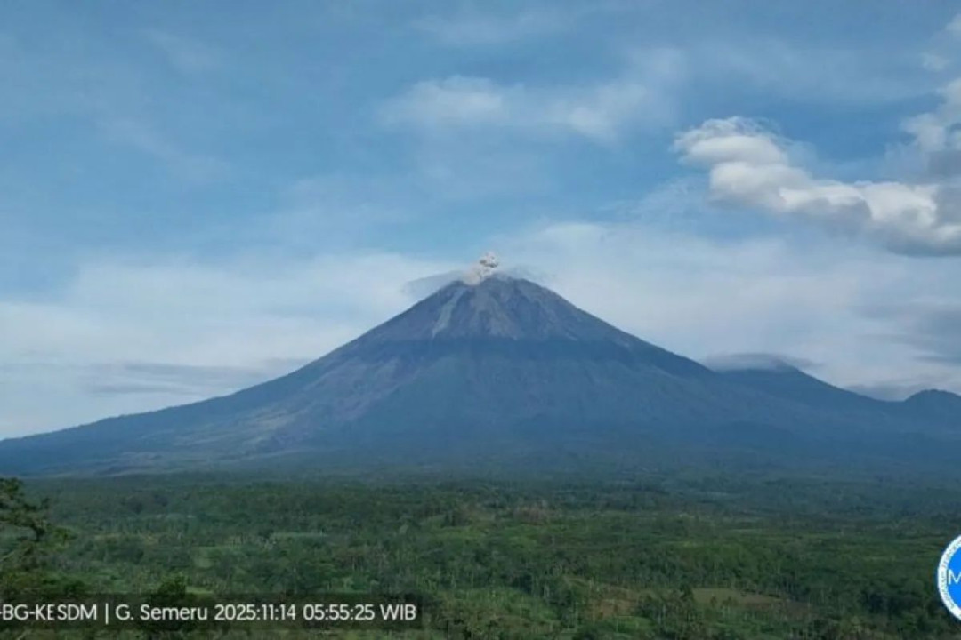 Gunung Semeru Kembali Erupsi, Kolom Abu Mencapai 800 Meter