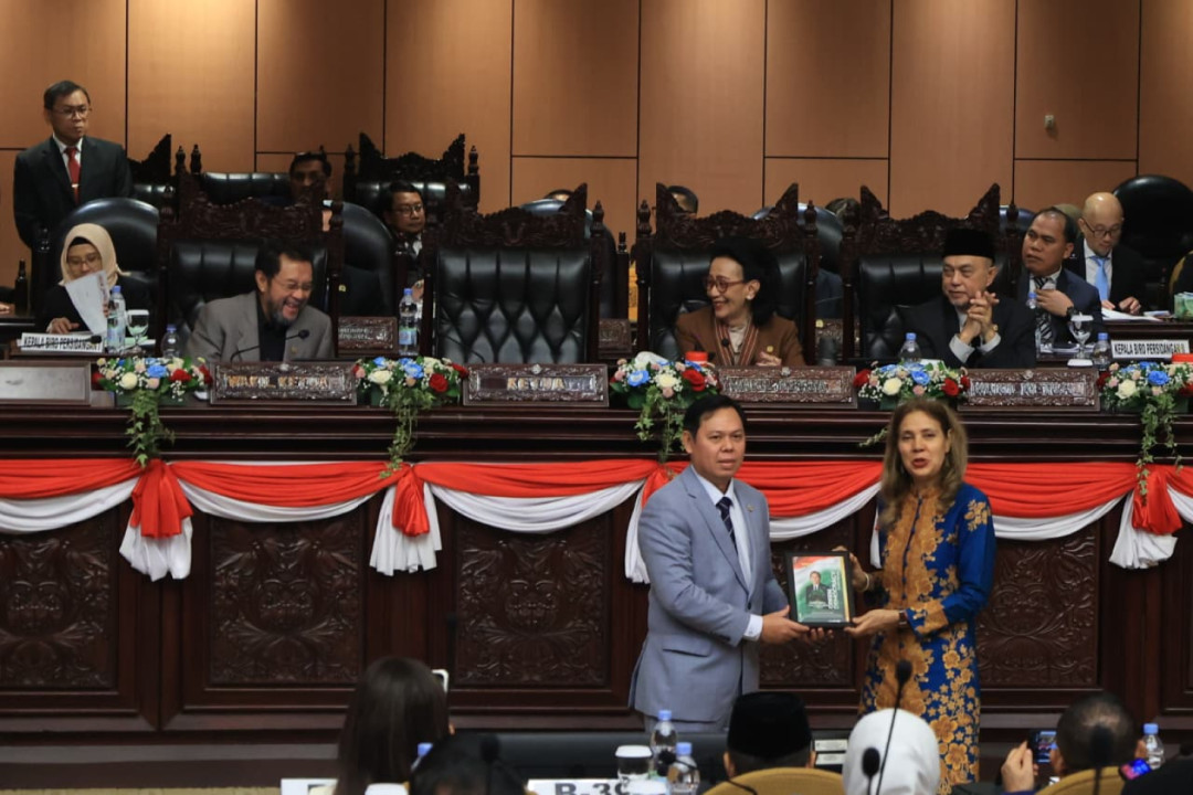 Kolaborasi PBB dan DPD RI Dorong Pembangunan Daerah