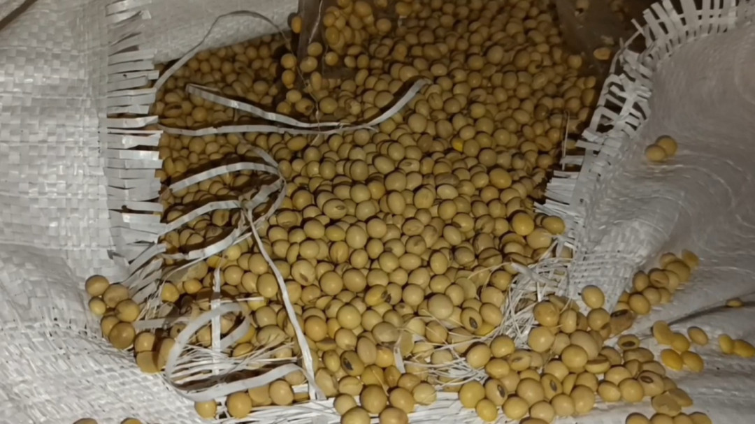 Dampak Konflik Global, Harga Kedelai di Sumedang Meroket