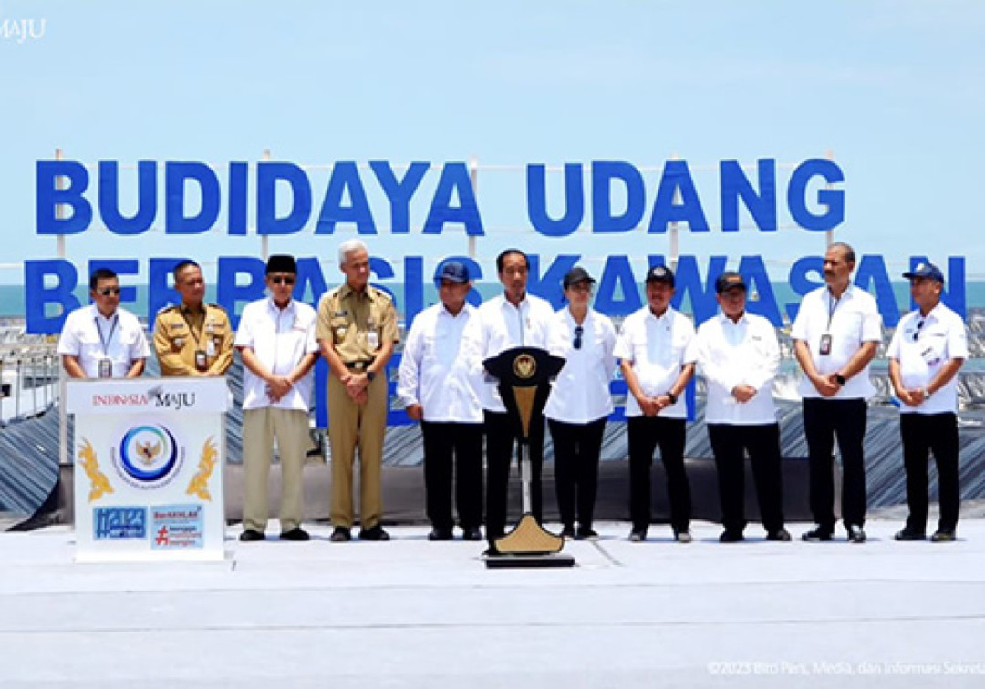 Presiden Jokowi Resmikan Tambak Budidaya Udang di Jateng