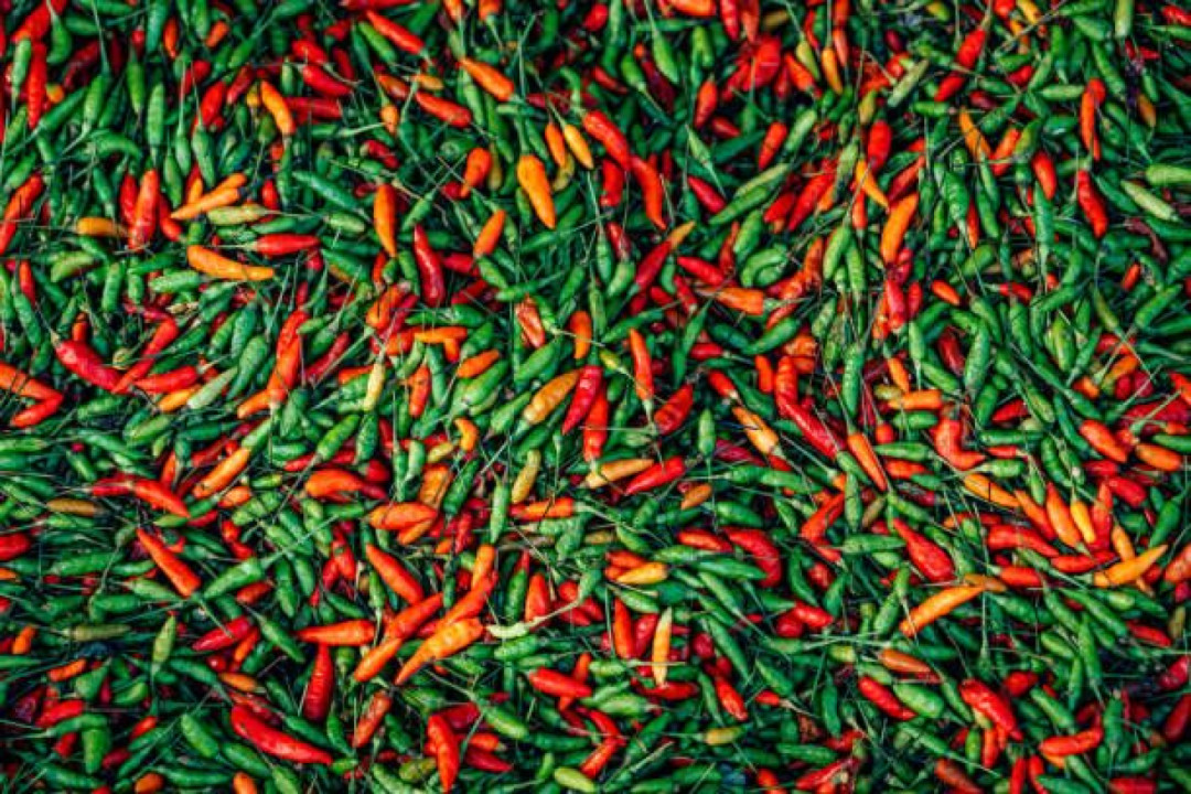 Harga Pangan di Jakarta: Cabai Rawit Merah Tembus Rp110.650 per Kg