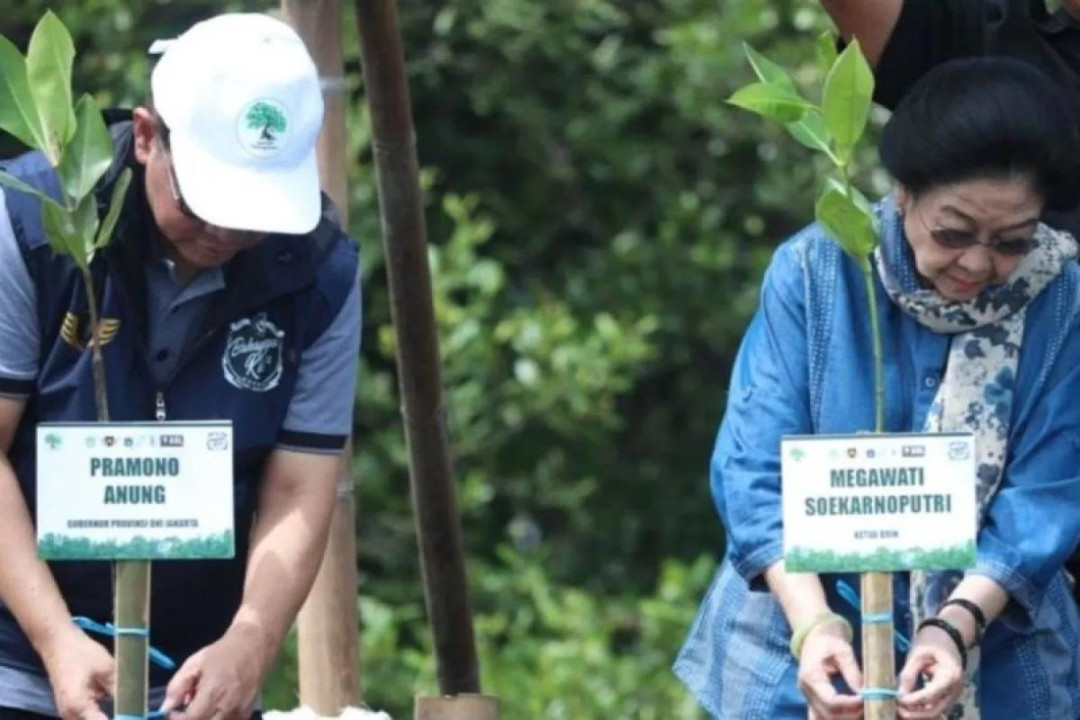 Tanam 7.500 Mangrove, Gubernur DKI Jakarta: Langkah Penting untuk Pelestarian Lingkungan