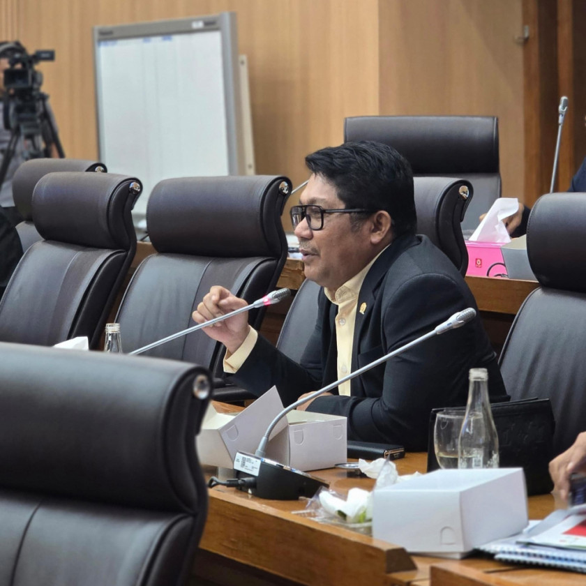 Komisi XII DPR Soroti Daya Saing Hilirisasi Nikel di Morowali