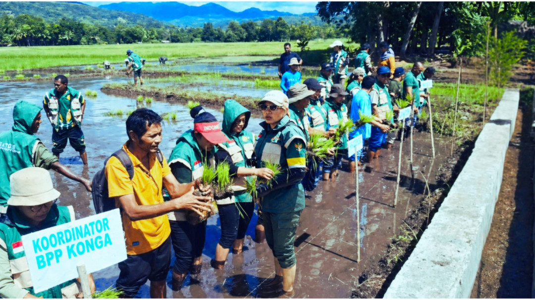 Tanam Serempak di Konga, Flores Timur Perkuat Target Swasembada Pangan