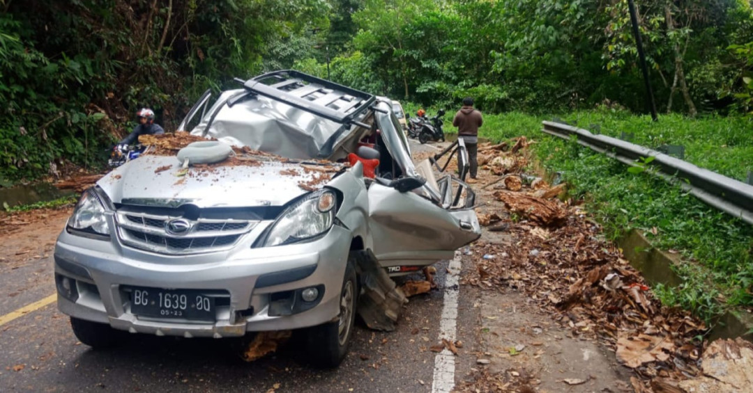 Minibus Tertimpa Pohon, Satu Penumpang Tewas