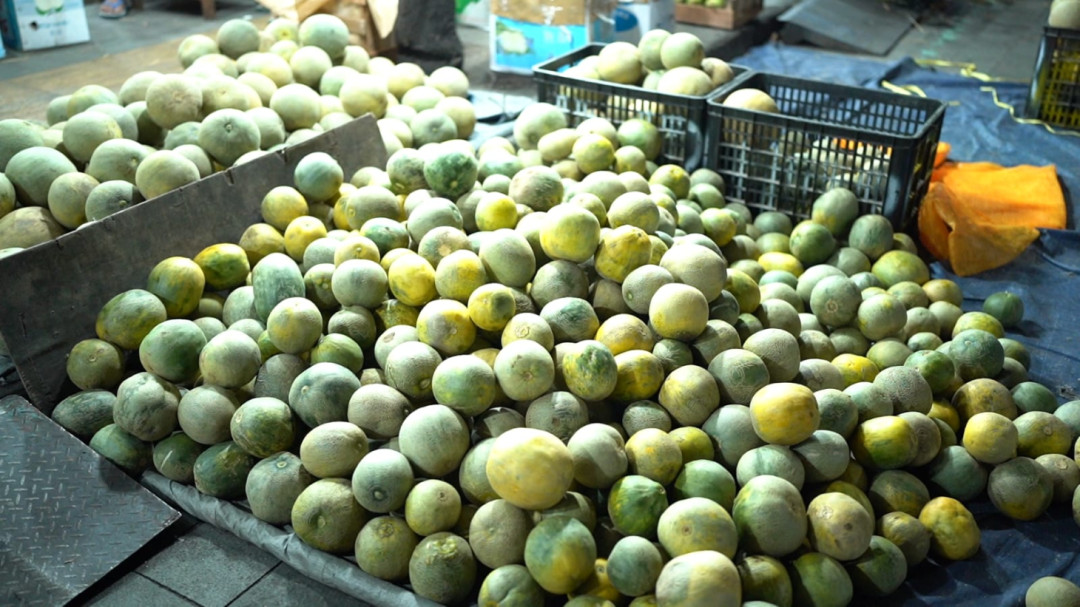 Ekonomi Meningkat, Pedagang Buah di Solo Rasakan Manfaat Program Makan Bergizi Gratis