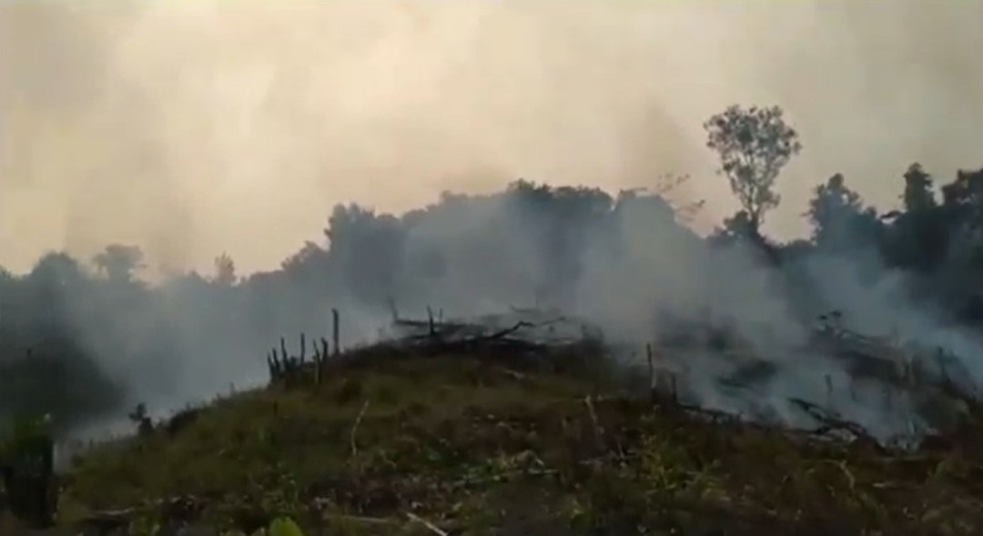 BPBD Perkuat Mitigasi di Wilayah Rawan Karhutla