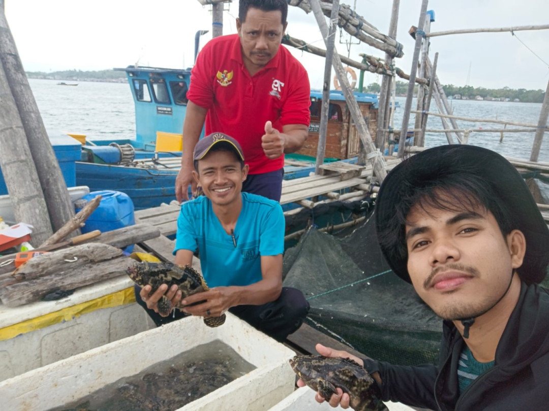 Satu Ton Kerapu Cantang Terpanen, Kelompok Laut Biru Desa Kelong Jadi ‘Role Model’ Budidaya di Bintan