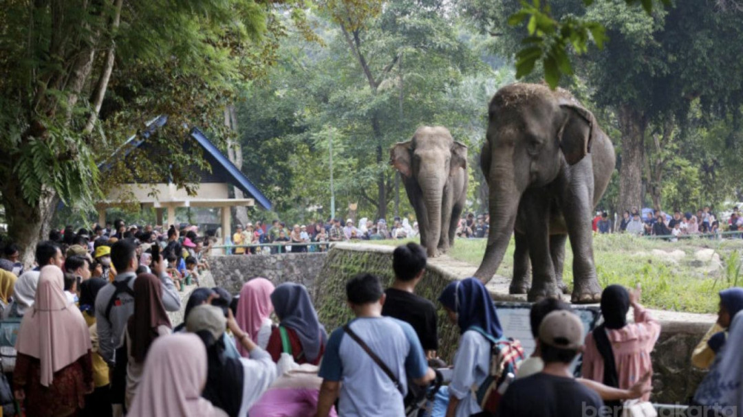 Lampaui Target, 421 Ribu Wisatawan Padati Ragunan Selama Lebaran