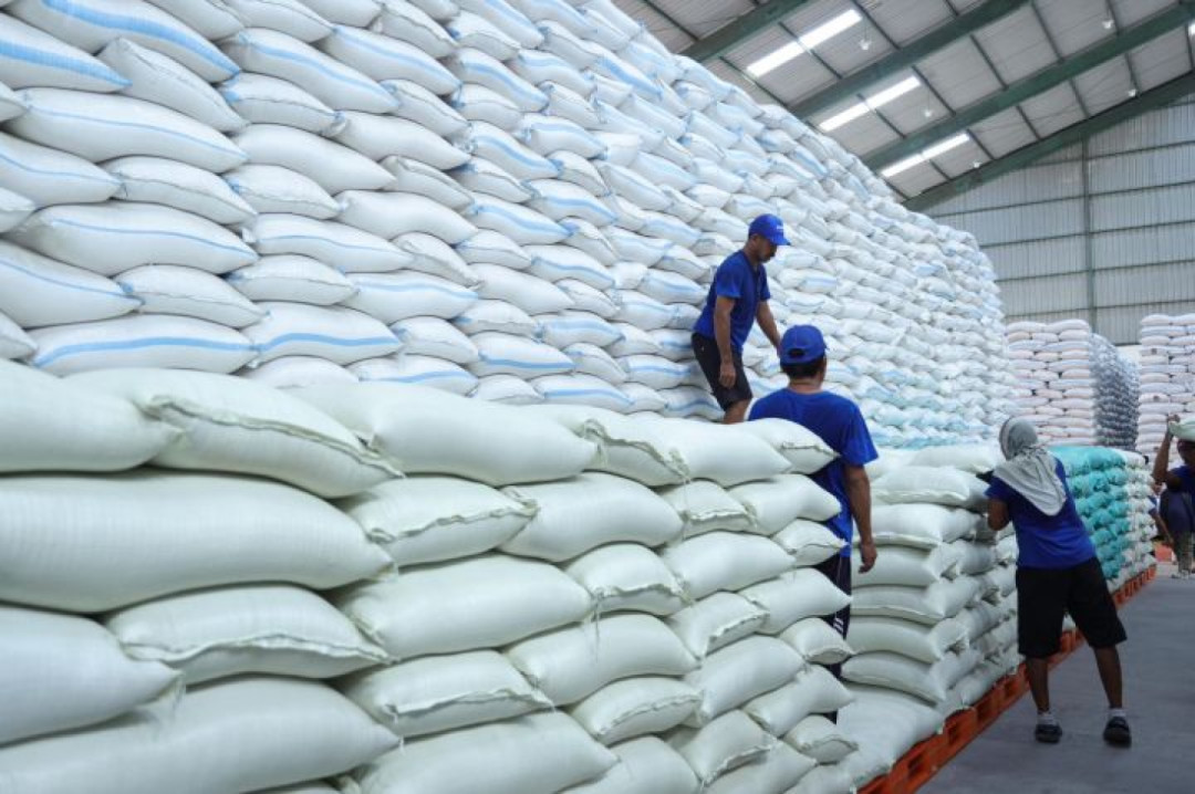 Akademisi dan Mahasiswa Apresiasi Program Swasembada Pangan