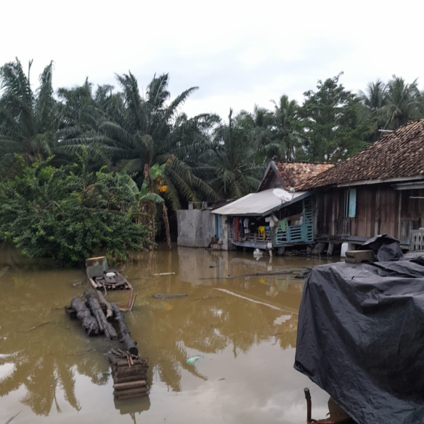 Banjir Rendam Dua Kampung di Way Kanan, Puluhan Rumah Terdampak