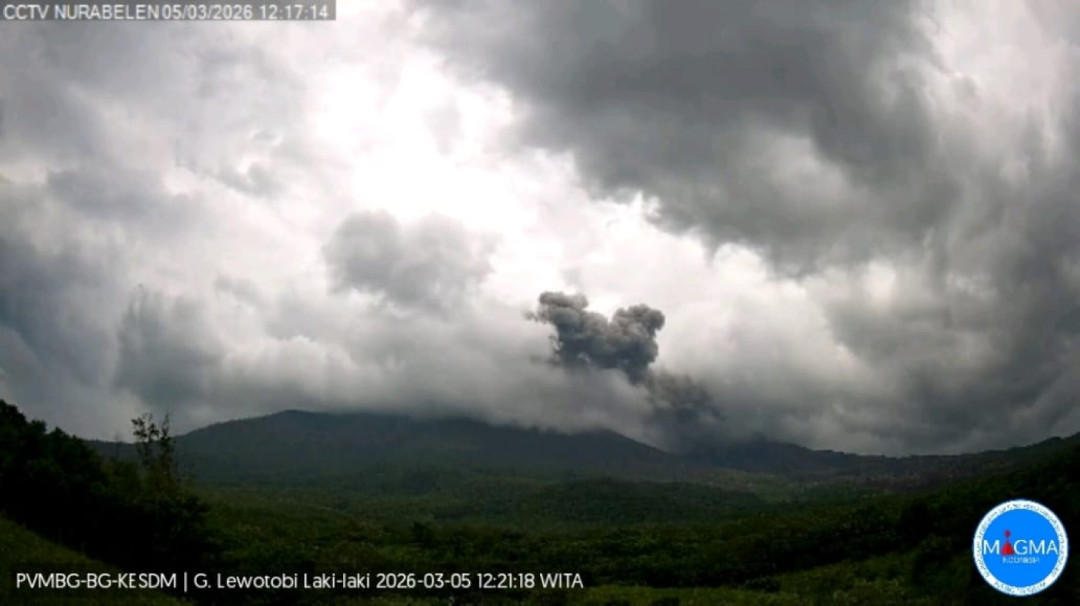 Erupsi Gunung Api Lewotobi Laki-Laki Meningkat, Disertai Hujan Lebat