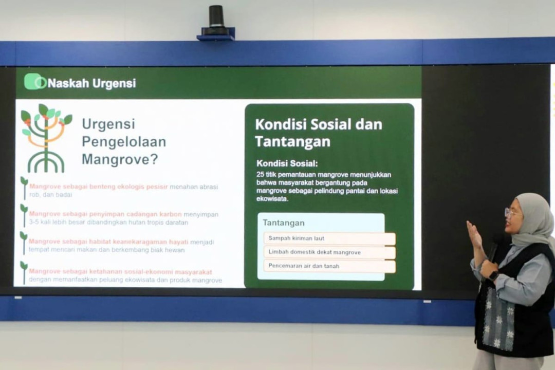 Pemprov DKI Susun Pergub Pengendalian Mangrove Perkuat Benteng Ekologis Pesisir