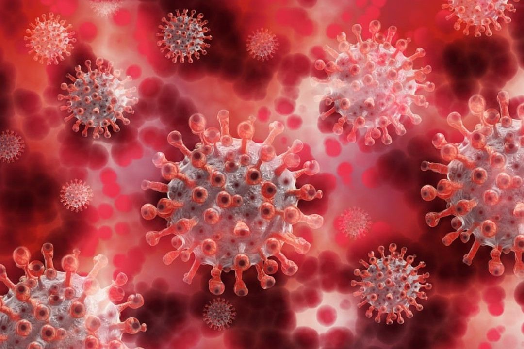 Virus BN.1 Terdeteksi Masuk RI, Kemenkes Amati Pola Subvarian Omicron Terbaru