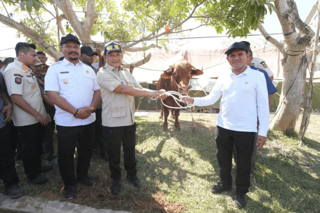 Presiden Prabowo Salurkan Bantuan Daging Sapi di Aceh