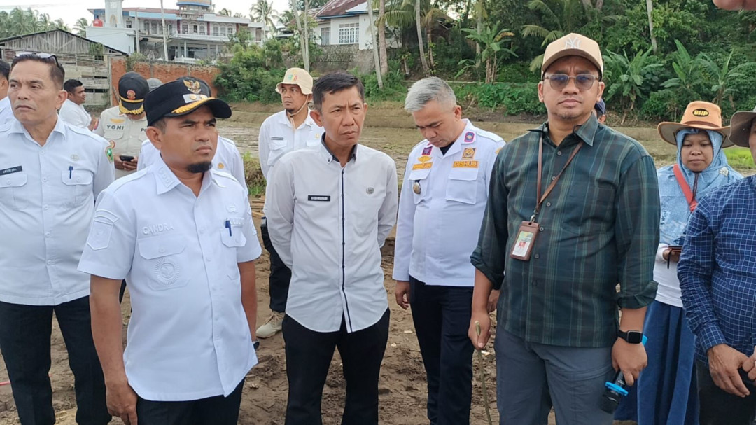 Pastikan Sawah Pulih Cepat, Wabup Solok Cek Proyek Rehabilitasi Lahan