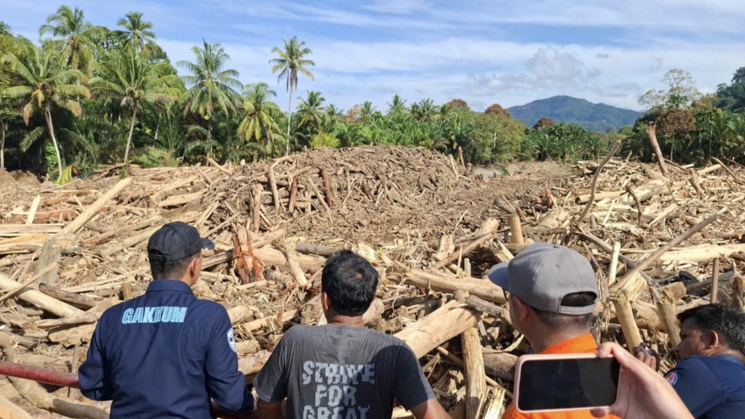 Material Kayu Terseret Banjir Sumatra, Menteri LH: Kombinasi Pohon Tumbang